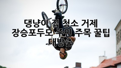 🐶🐱 댕냥이 집 청소🧹 거제 장승포&두모 주민 주목! ✨꿀팁 대방출✨